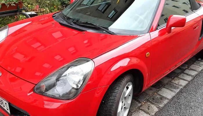 Csontosauto -  Szam - Sopron