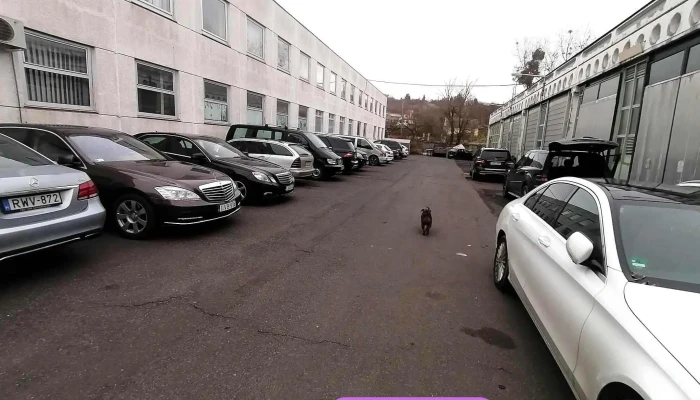 Daubek És Társa Bt. - Daubek Béla - Mercedes szerelő - Erenyő U. 2a