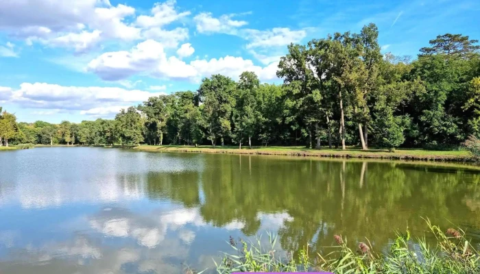 Dégi Park-tó - 8135