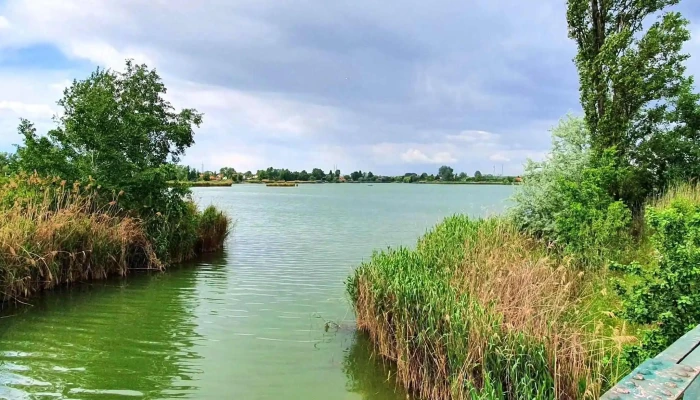 Delegyhazi Tavak Viztarozo - Hungary