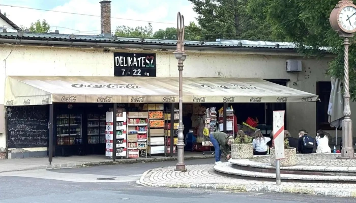 Delikatesz Elelmiszeruzlet - Balatonszárszó