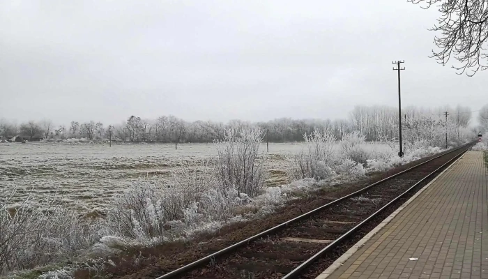 Derecske -  Vasarterautobusz Varotere Derecske - - Derecske