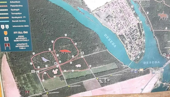 Desedai parkerdő és arborétum - Magyarország