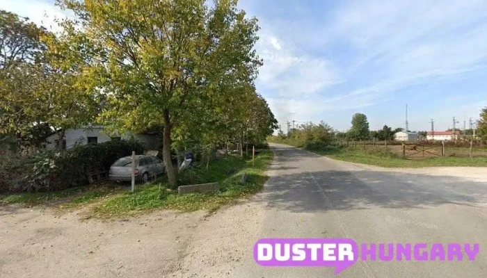 Domaszék - Domaszék