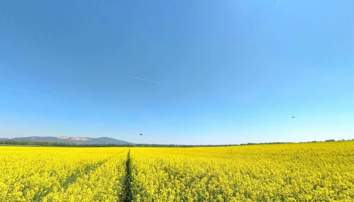 Dunabogdany Utcakep Es 360deg - Dunabogdány