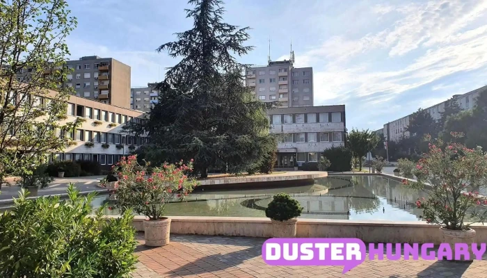 Dunaujvarosi Jarasbirosag Osszes - Dunaújváros