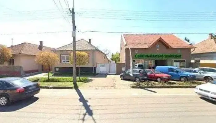Dzsoni Bt Osszes - Szentes