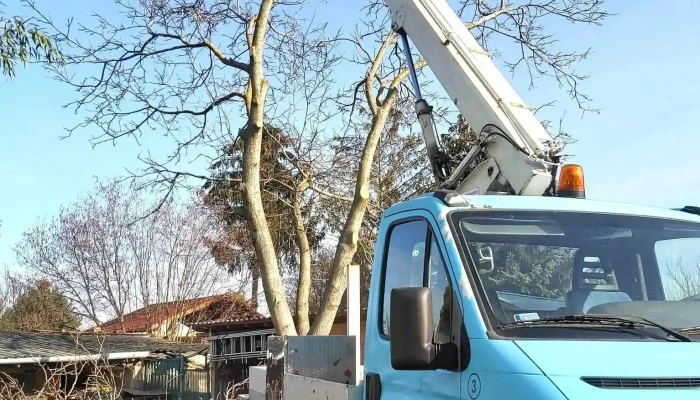 Emelőkosaras munkavégzés Győr és környéke - Híd U. 2/b