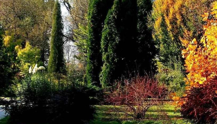 Erdőtelki Arborétum - Fő U. 129