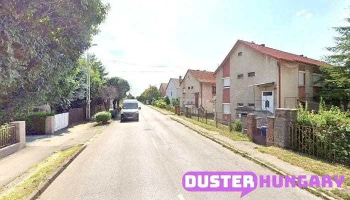 Eredetvizsga - Pécs