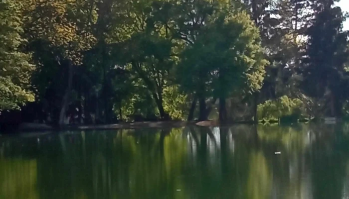 Felsotarkany Faluhaz Cim - Felsőtárkány