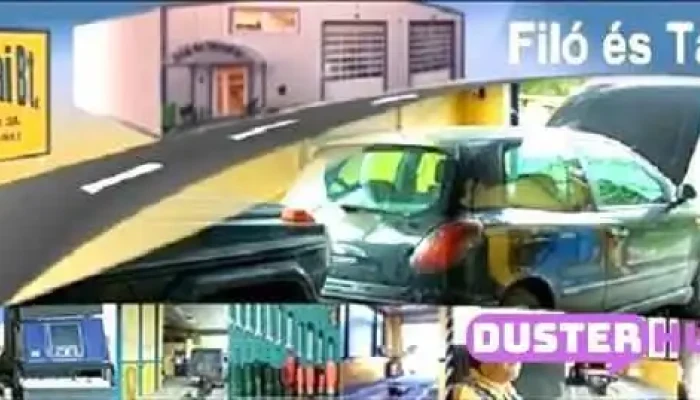 Filo Es Tarsai Bt   Gepjarmujavitas Es Muszaki Vizsga Teherauto Vizsgaztatas A Tulajdonostol - Ócsa