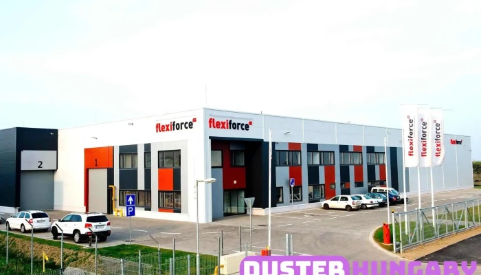 Flexiforce Hungary Kft Osszes - Debrecen