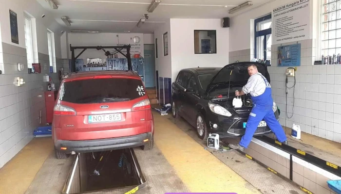 Fordkasza A Tulajdonostol - Törökbálint