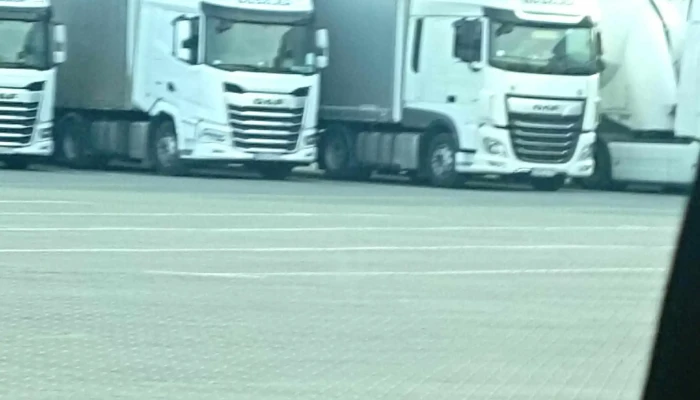 Gaszler Kft Telephely Terulet - Ecser