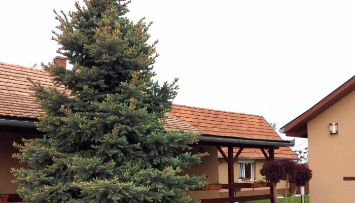 Gemino Kft Kedvezmenyek - Gps: