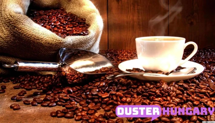 Global-Coffe Kft. - Felújított és új Saeco kávégépek - Radnóti U. 6