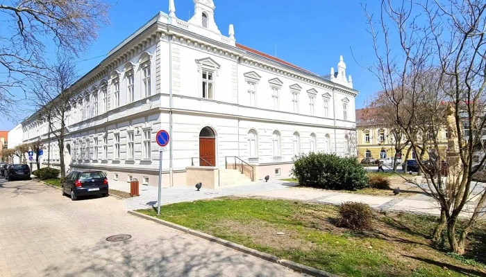 Gocseji Muzeum A Tulajdonostol - Zalaegerszeg