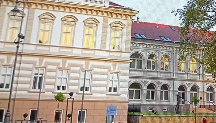 Gocseji Muzeum Fotok - Zalaegerszeg