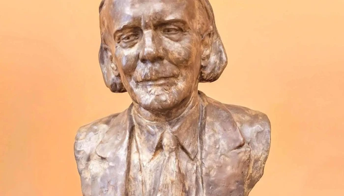 Gocseji Muzeum Muzeum - Zalaegerszeg