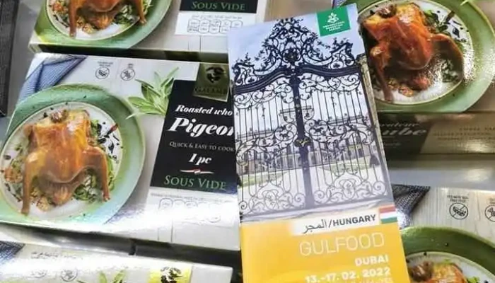 Görbeházi galamb - Hungary