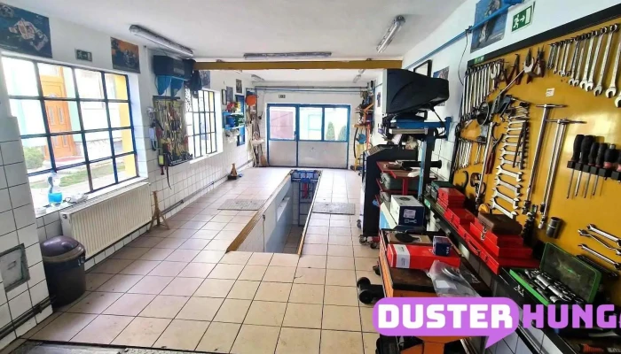 Gosi Balint Autoszerviz A Tulajdonostol - Bősárkány