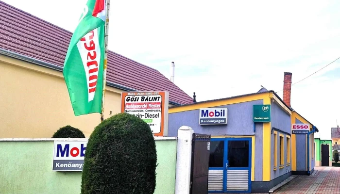 Gosi Balint Autoszerviz Osszes - Bősárkány