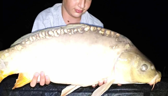 Gyermelyi Horgaszto Terulet - Gyermely