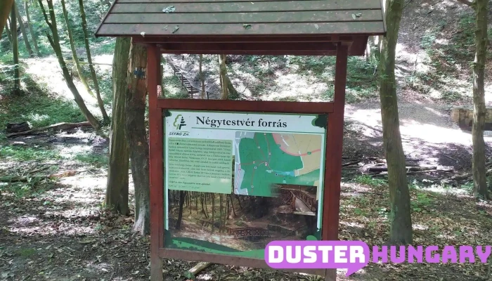 Gyertyánosi Parkerdő - Kaposvár