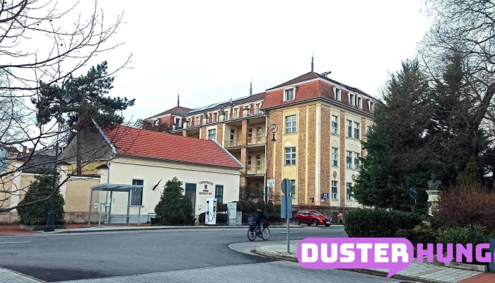 Gyongy Virag 2010 Kft Osszes - Hódmezővásárhely