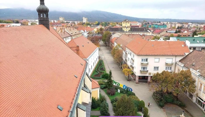 Gyöngyösi Szent Bertalan-nagytemplom - Fő Tér 17