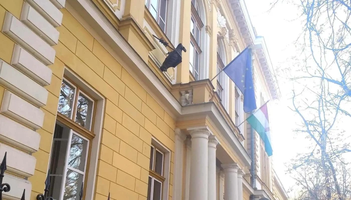 Gyulai Jarasbirosag Birosag - Gyula