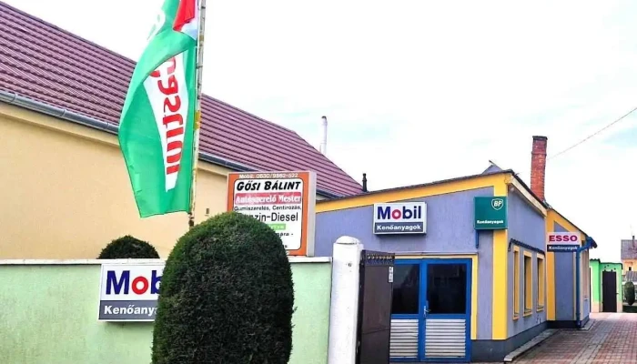 Gősi Bálint Autószervíz - Bősárkány