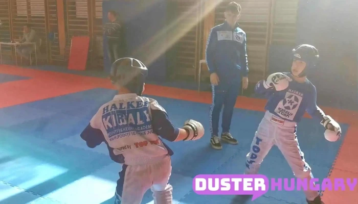 Halker -  Kiralyteam Kick Box Akademia Videok - Budapest