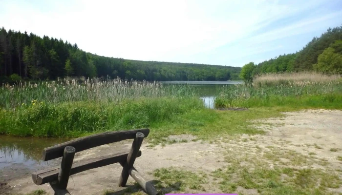 Hársas tó - Magyarország