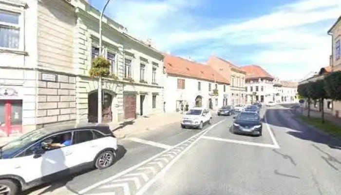 Haz I Rend Mozgo Zarlakatos Zarszereles Zarjavitas Osszes - Sopron