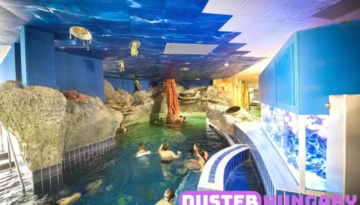 Hungarospa Aqua -  Palace A Tulajdonostol - Hajdúszoboszló