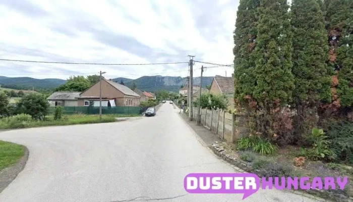 Idősek, Fogyatékosok Otthona és Módszertani Intézete - Petőfi Sándor U. 25