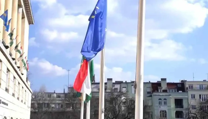 Ii Kerulet Onkormanyzat Polgarmesteri Hivatal Videok - Budapest