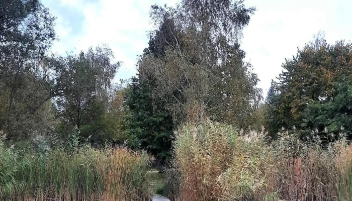 Jenoi To Nyitva Most - Diósjenő