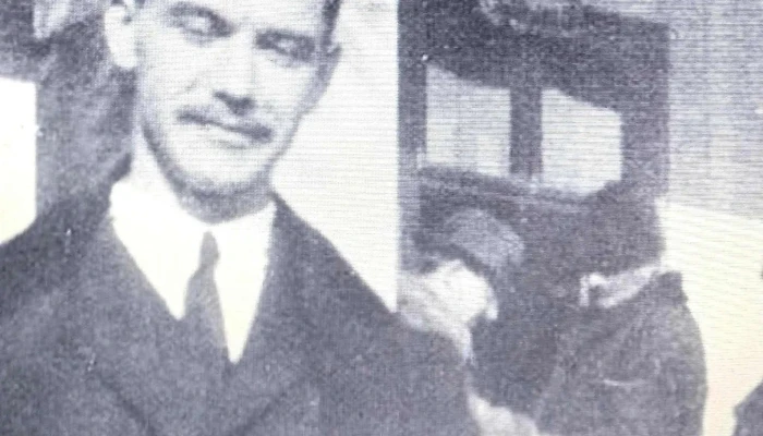 Jozsef Attila Emlekmu Akcio - Balatonszárszó
