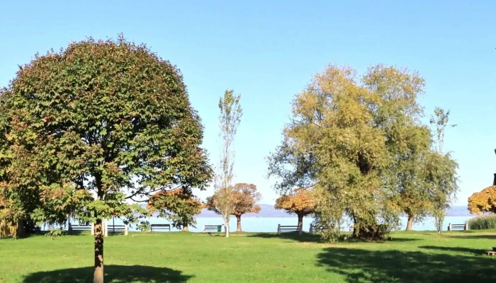 Jozsef Attila Emlekmu Nyitva Most - Balatonszárszó