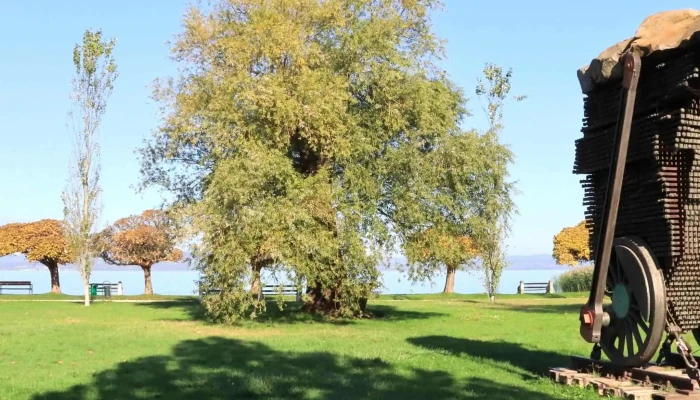 Jozsef Attila Emlekmu Pontszam - Balatonszárszó
