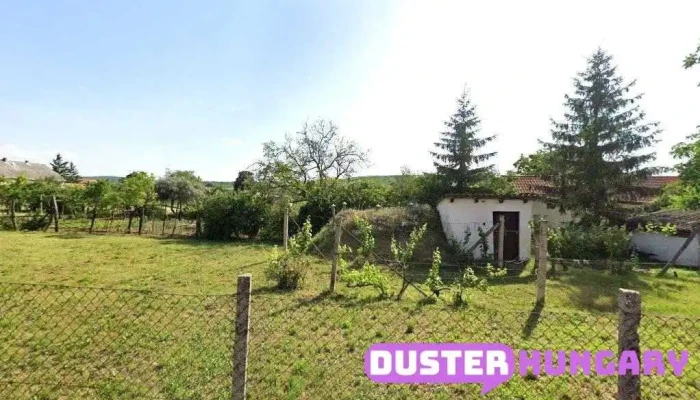 Kalauz László - Piliscsaba