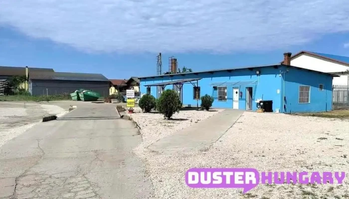 Kalo -  Meh Trans Kft Mako A Tulajdonostol - Makó