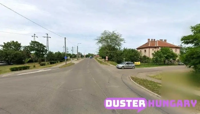 Karsai Kártevőirtás - Mezőtúr