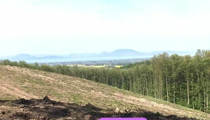 Kastély-domb (256m) - Balatoni Panoráma - Magyarország