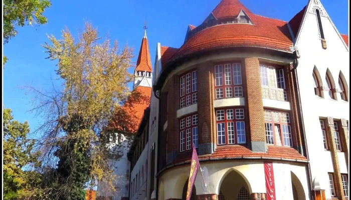 Kecskemeti Lapok Kft Osszes - Kecskemét