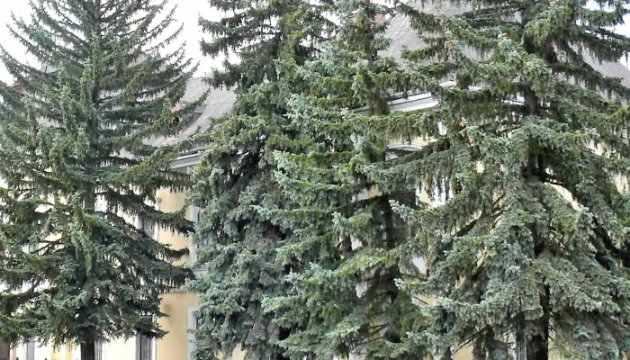 Keglevich -  Kastely Pontszam - Pétervására