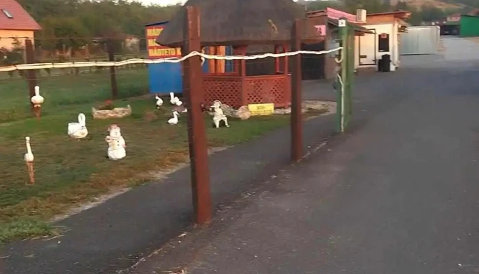 Kobra -  Nad Kft Osszes - Pákozd